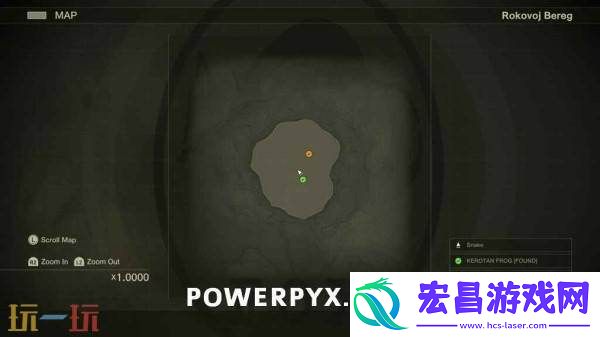 罗高博伊小黄鸭在哪