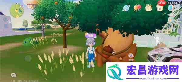 心动小镇9.15溜溜橡木与无瑕萤石位置