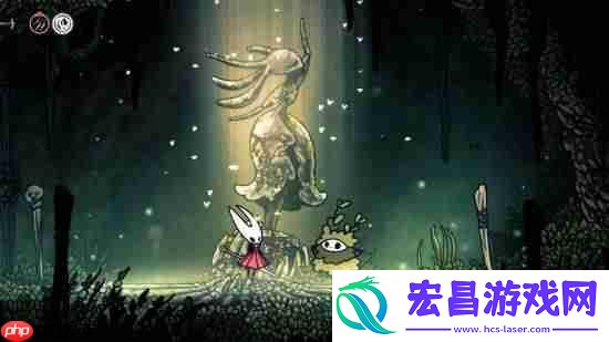曝空洞骑士