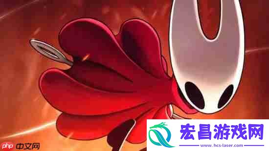 曝空洞骑士